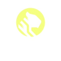 TigerData